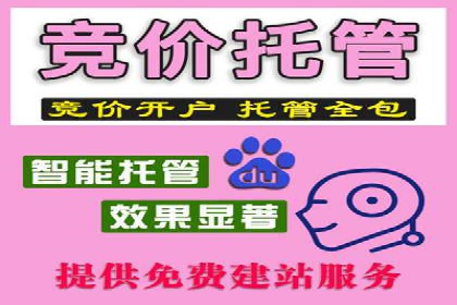 成功案例分享：SEM托管服务助力企业提升竞争力